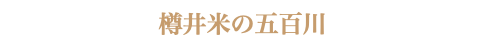 樽井米の五百川